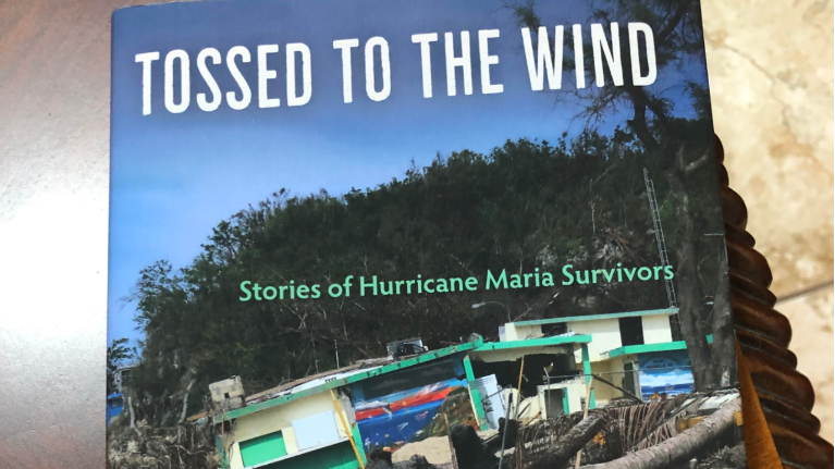 Stories from Hurricane Survivors