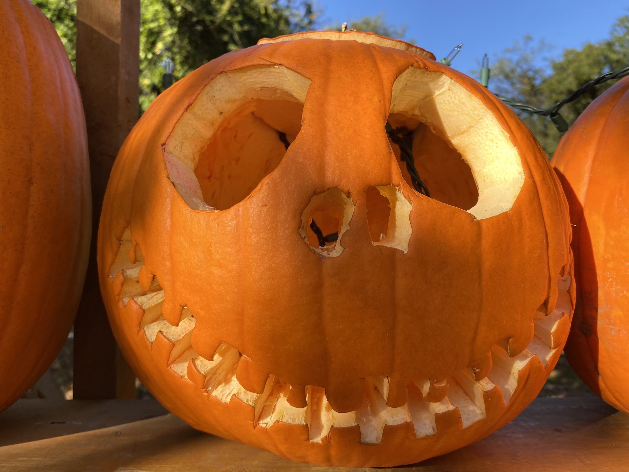 elizabeth pumpkin wall returns for halloween elizabeth pumpkin wall returns for