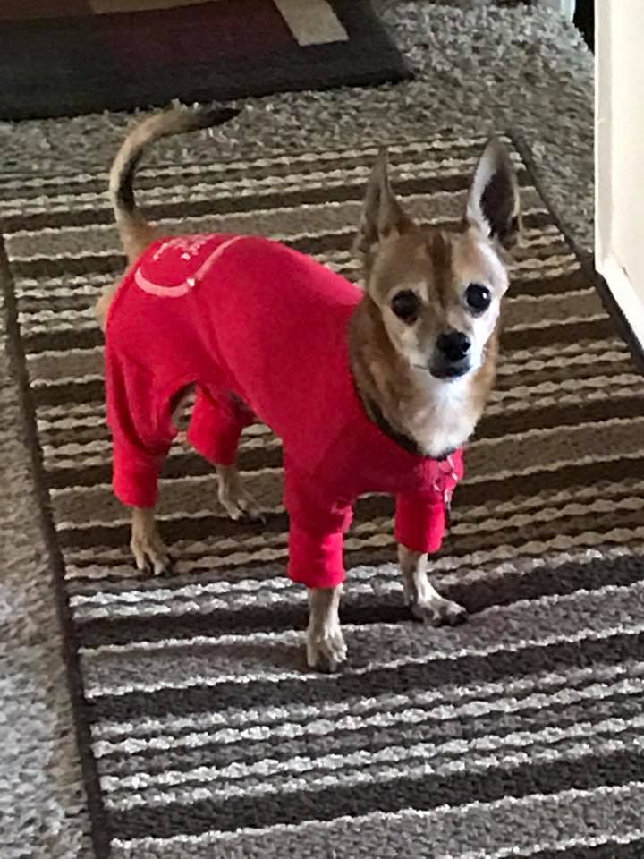 Chuy wears a red suit.