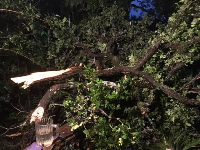 A tree was snapped in half at a home in Kyle.